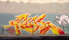 100_0495x.jpg