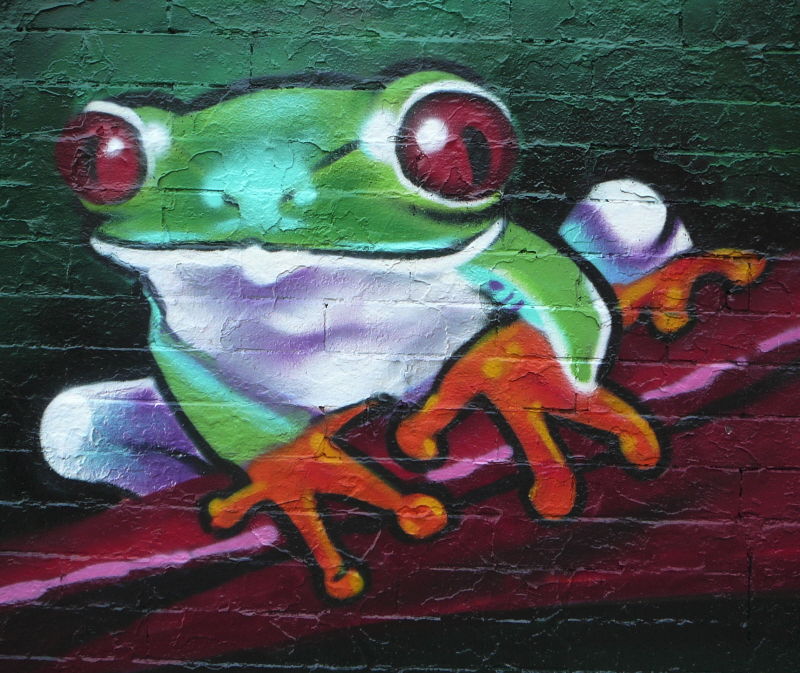 flyid_frog2_nyc2011.jpg