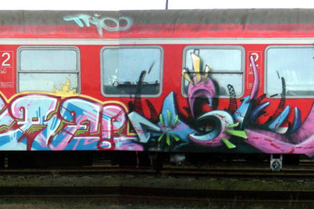 Kosi, p19