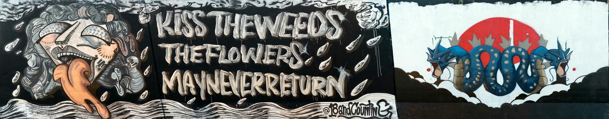 Paint Louis 2021 00012