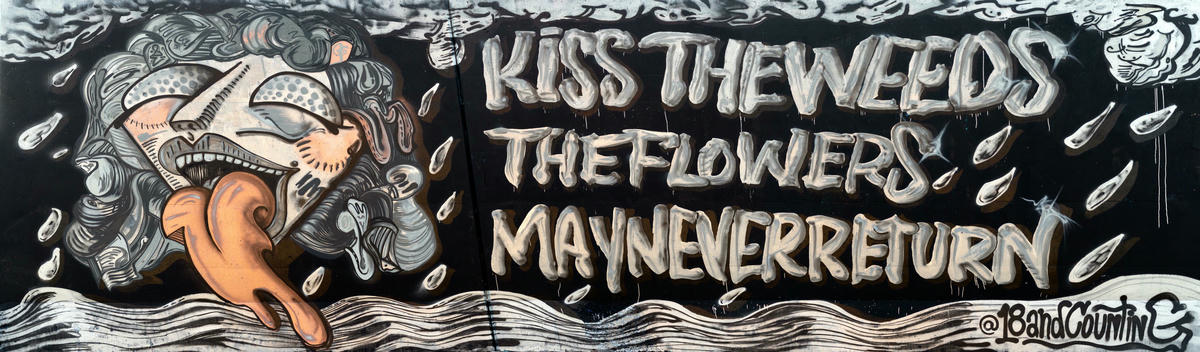 Paint Louis 2021 00013