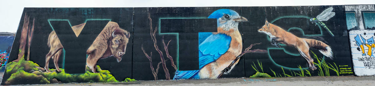 Paint Louis 2022 00052