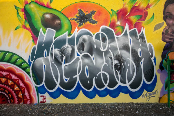 Paint Louis 2024 00014