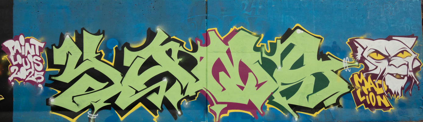 Paint Louis 2025 #051