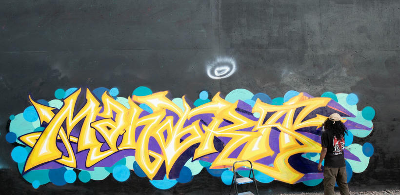 Paint Louis 2025 #132