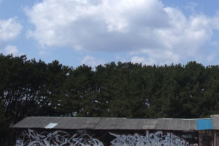 Japan 33