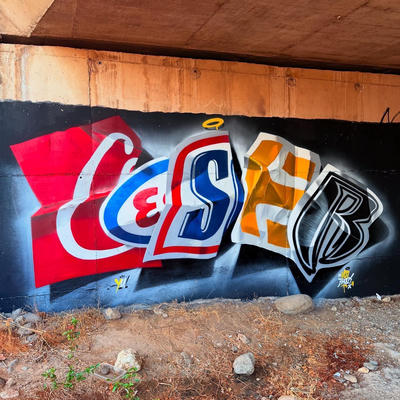ceser87_2026_001
