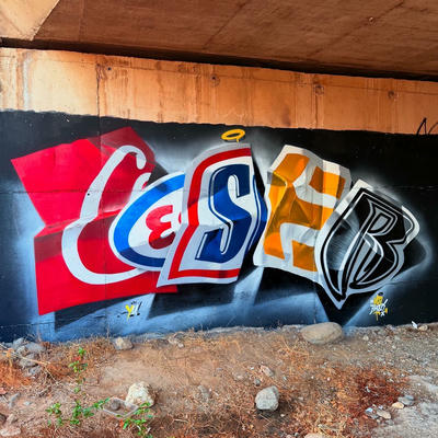 ceser87_2026_001