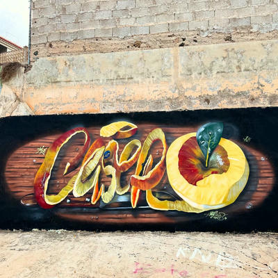 ceser87_2026_002