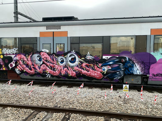 ceser87_2026_009