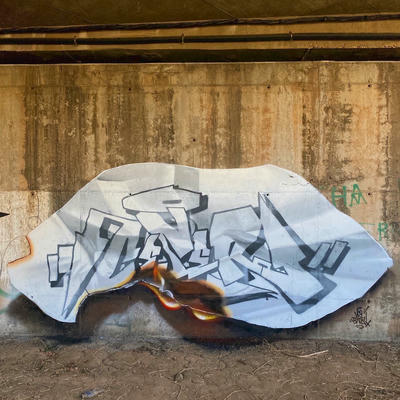 ceser87_2026_020