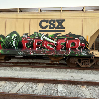 ceser87_2026_042