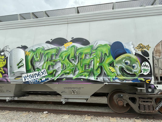 ceser87_2026_043