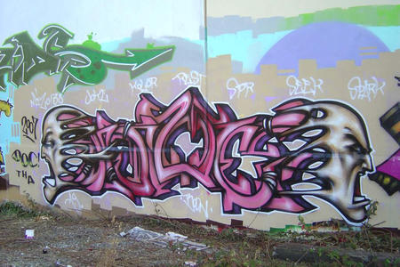 San Jose 17