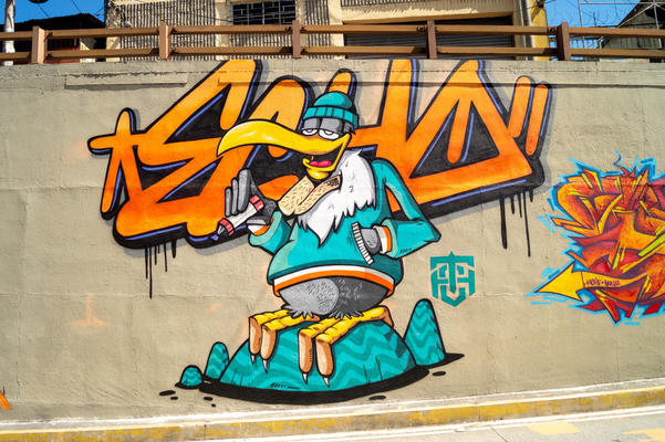 echo_elsalvador_2019_01