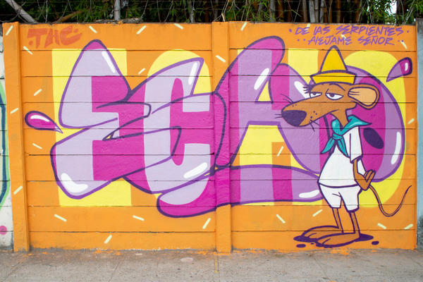 echo_elsalvador_2021_01
