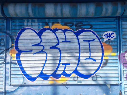 echo_elsalvador_2024_04