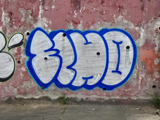 echo_elsalvador_2025_02