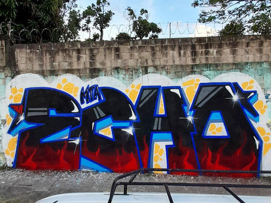 echo_elsalvador_2025_07