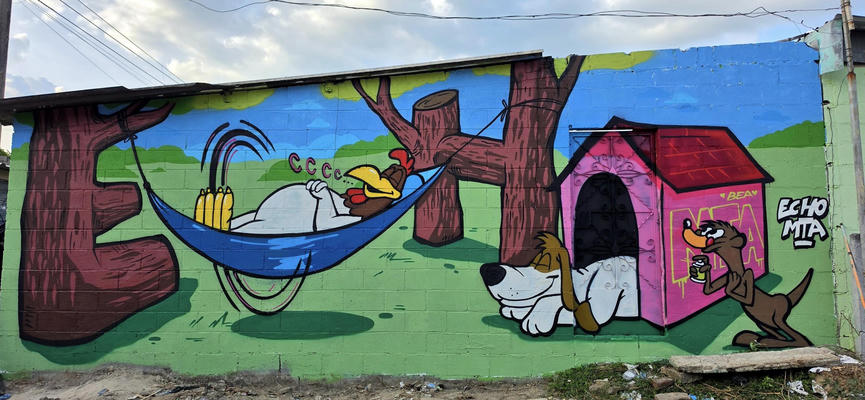 echo_elsalvador_2026_01