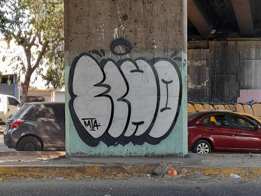 echo_elsalvador_2026_04