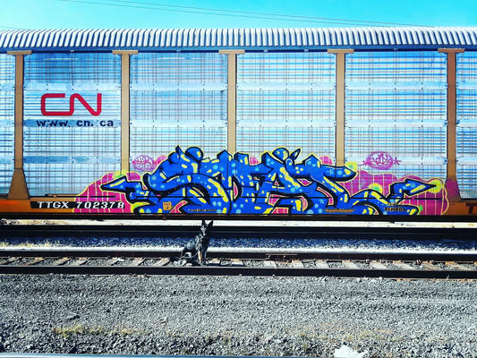 el-paso-2020