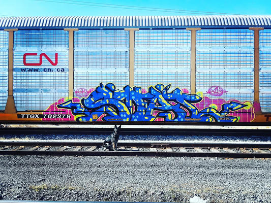 el-paso-2020
