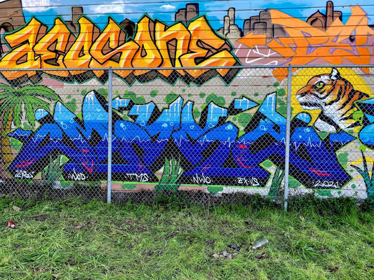 ex_vandals_bay_area_2021_02