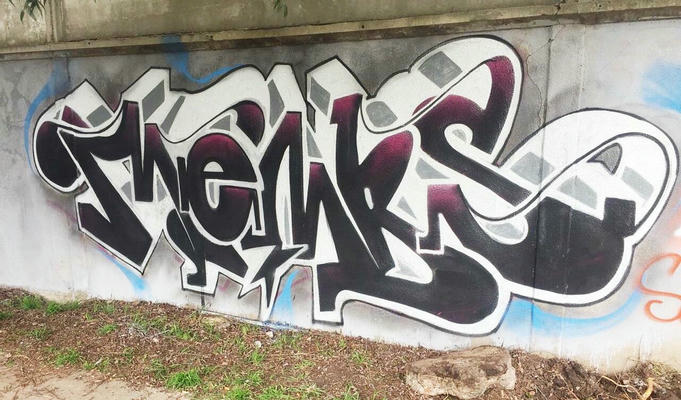 membs_2019_02