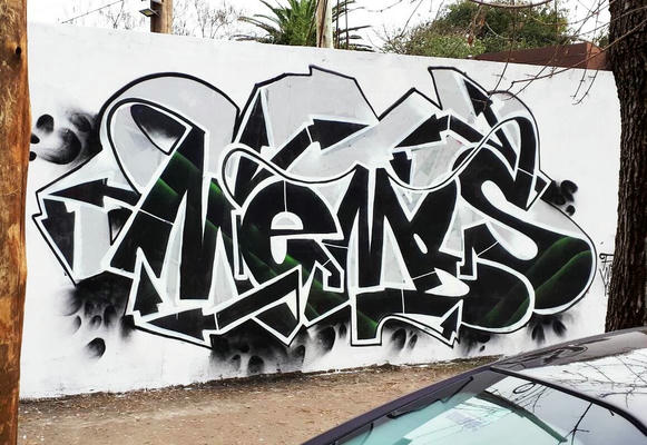 membs_2019_06