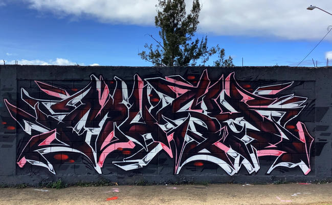mush-cartago