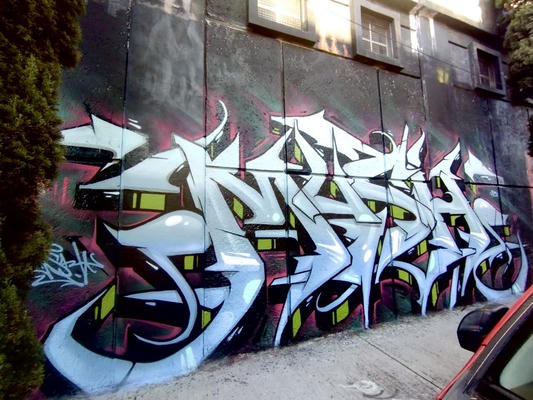 mush-cdmx-2025