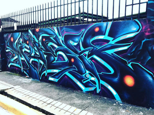 mush-costa-rica-sj