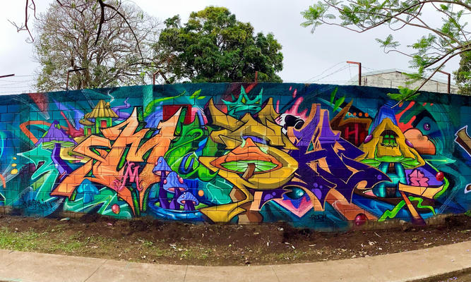 mush-costa-rica-sj24