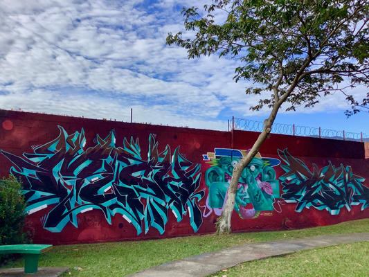 mush-crab-desk-san-jose-costa-rica