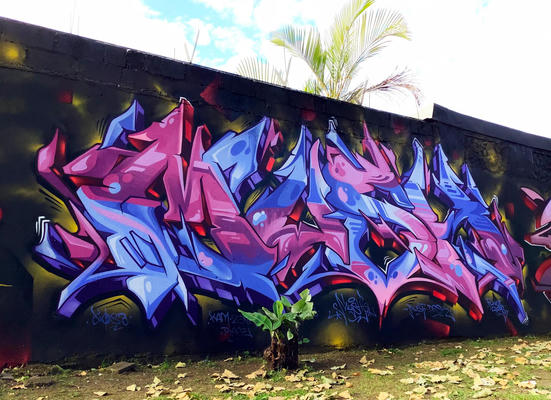 mush-curridabat-costa-rica
