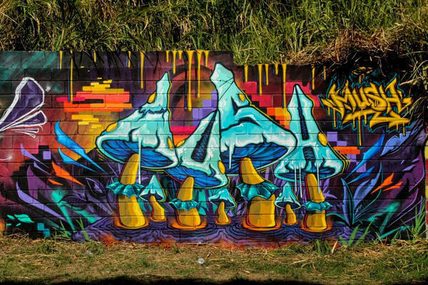 mush-heredia-cr