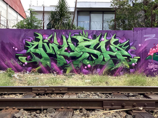 mush-san-jose-costa-rica-2025