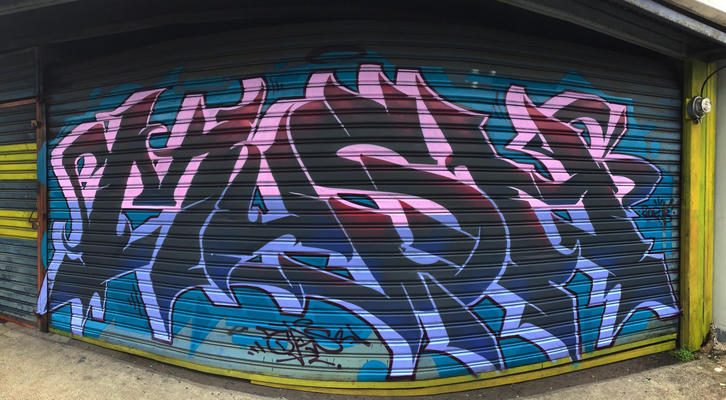 mush-sj-2024