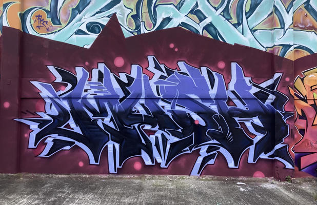 mush-sjcr-2023