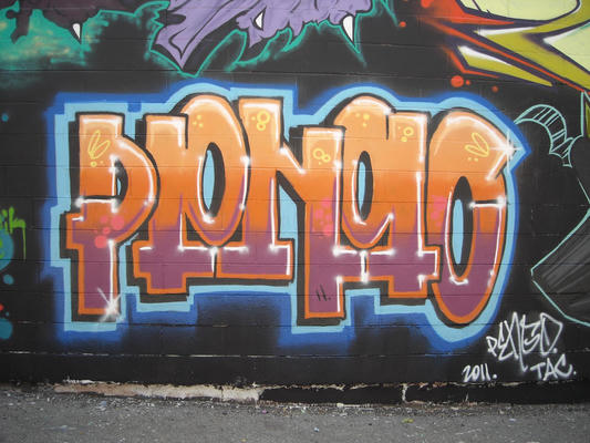 pengo_2016_201_005