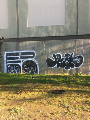 rawdog-osb-and-reser-etc-vancouver-2018