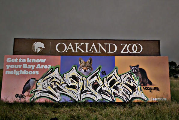 rehab_one_oakland_03