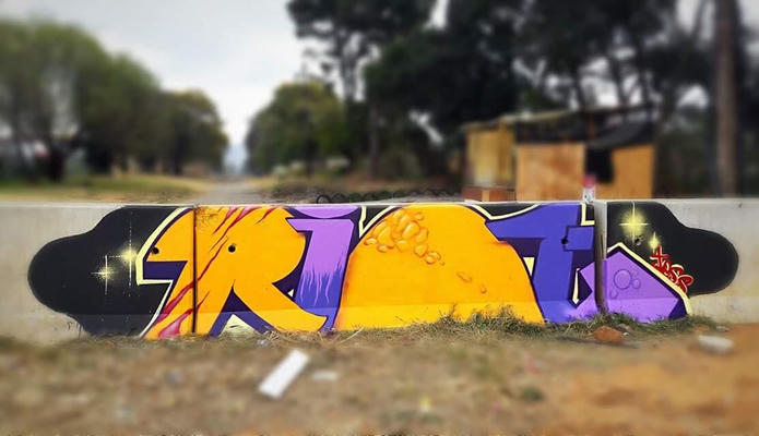 riot510-2017-johannesburg-01