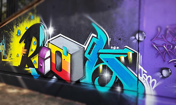 riot510-2017-johannesburg-05