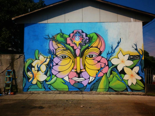 ryka-talca-chile-p1010255