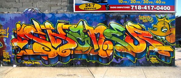 scaner_bk