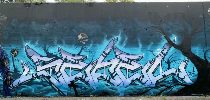 sebel-006-witcher-wall-221