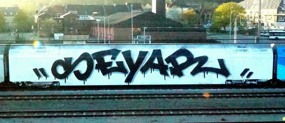 seyar_mr-wholecar_006