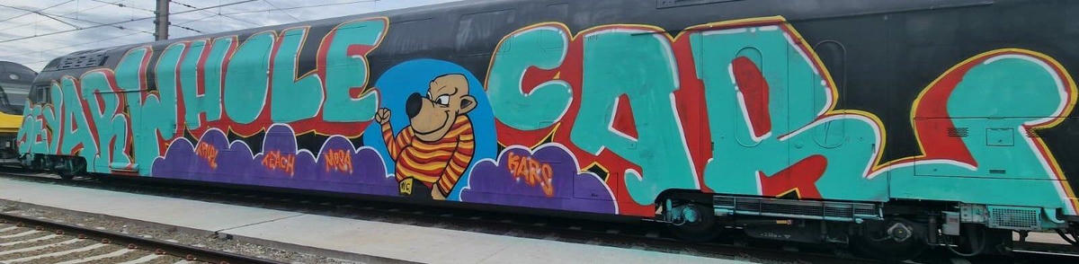 seyar_mr-wholecar_007